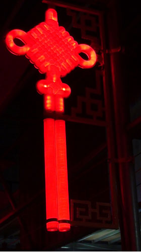小单耳夜景