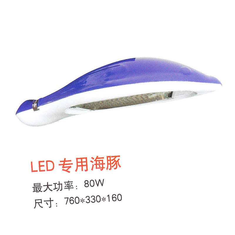 LED专用海豚